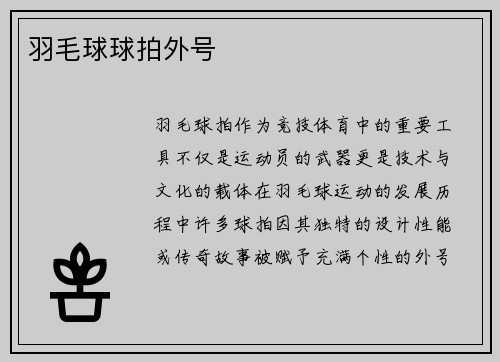 羽毛球球拍外号